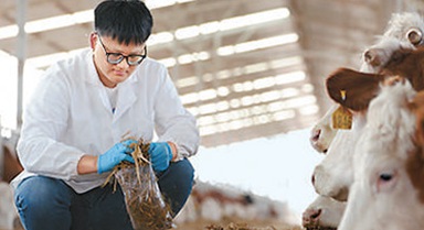 青年学子：生逢其时 奋斗其时