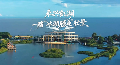 来兴凯湖一睹“冰湖腾鱼”壮景