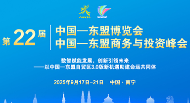 第22届东博会、峰会
