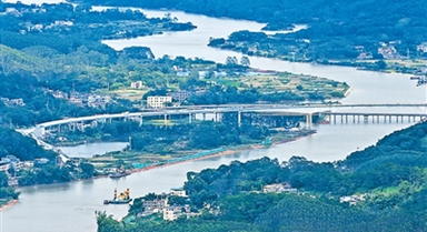 茶山深处的“土地生金”密码