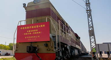 老挝木薯淀粉首次成列输华