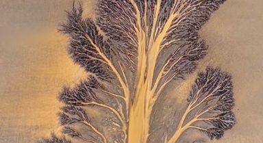 大自然的杰作!钱塘江又现“潮汐树”