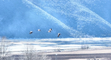 云南普达措冬日限定美景已上线