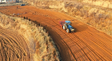 冬闲人未歇 乡村增收忙