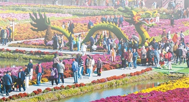 关键词里感受活力中国