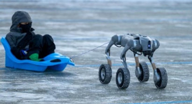 镜头里的冬日哈尔滨