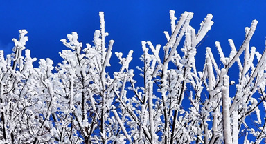 云南会泽现绝美雾凇