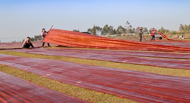 广西蒙山：晾晒香云纱