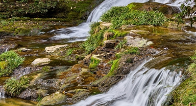 湖北保康：山好水好风光好