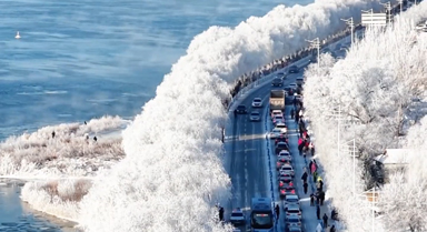 吉林市琼枝玉树雾凇如画