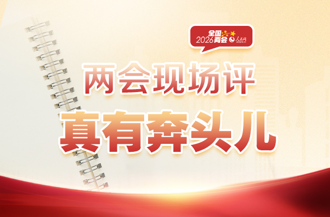 两会现场评：真有奔头儿