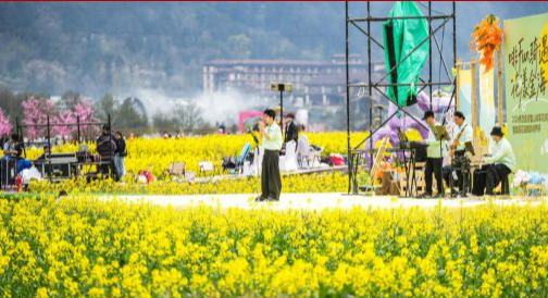 贵州贵定：金色花海绽春光