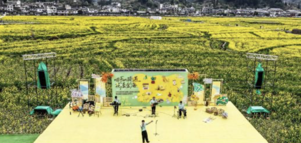 贵州贵定：金色花海绽春光