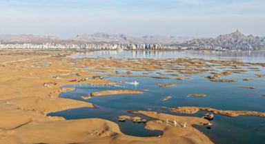 内蒙古乌海：沙水相依鸥翔集