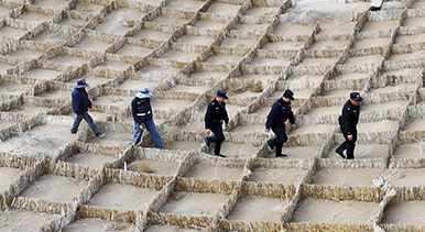 甘肃临泽：压沙织网正当时